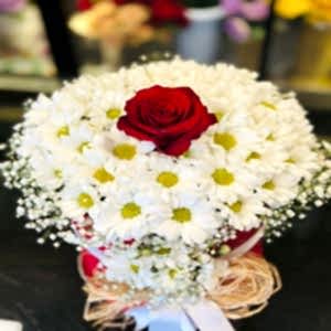  Gaziantep Çiçek Gönder - Papatya & Gerbera