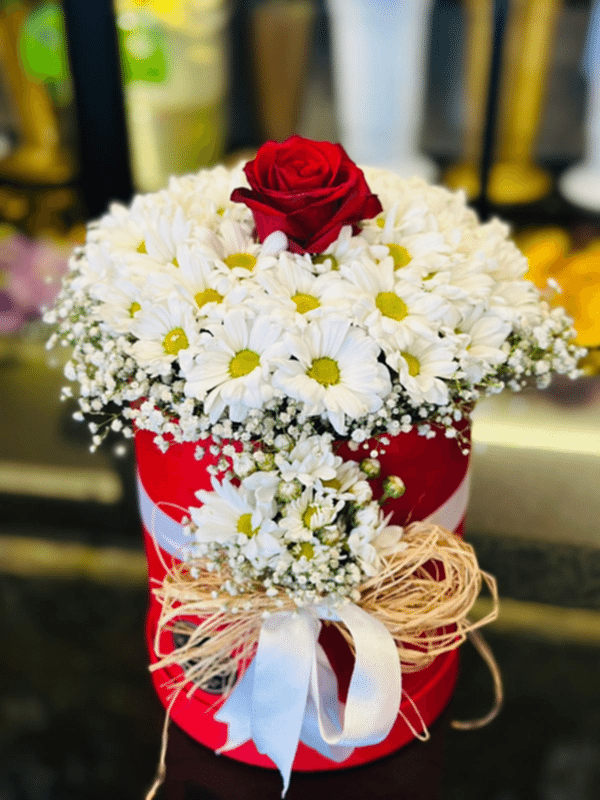  Gaziantep Çiçekçiler - Kutuda Beyaz Papatya Tek Gül