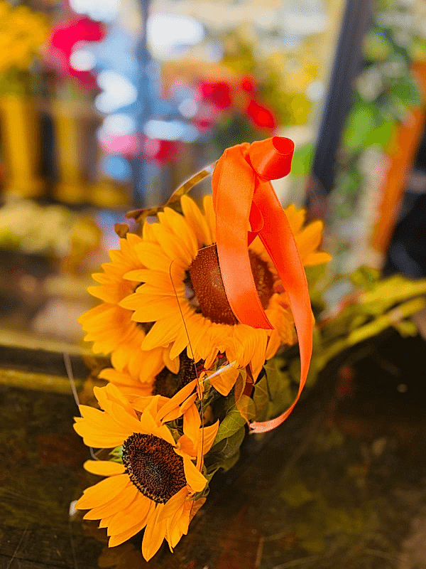  Gaziantep Çiçek Gönder - Şeffaf Çantada Ayçiçek 