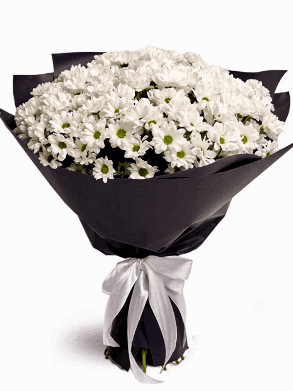  Gaziantep Çiçekçiler - Dev Beyaz Papatya Buketi