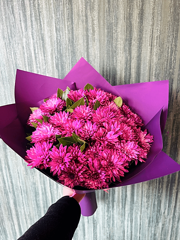  Gaziantep Çiçekçi - Mor Severlere Özel Kasımpatı