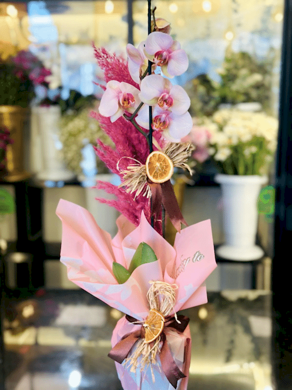  Gaziantep Çiçekler - Tek Dal Toz Pembe İthal Canlı Orkide