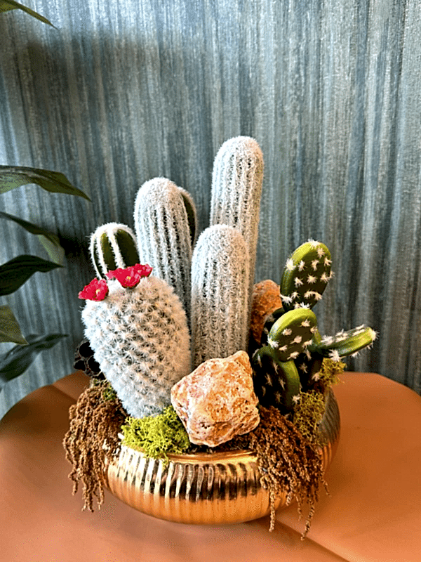  Gaziantep Floristen - UFO-GOLDTOPF IMPORTIERT CACDUS ARAYMANI