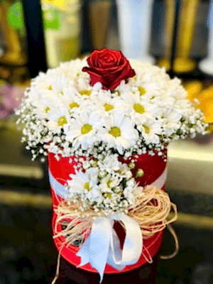  Gaziantep Çiçekçiler - Kutuda Beyaz Papatya Tek Gül