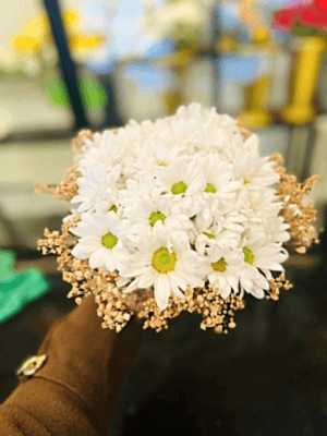  Gaziantep Çiçekçi - Beyaz Papatya Demeti 