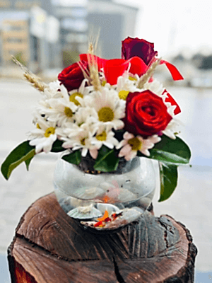  Gaziantep Çiçekçi - Canlı Balıklı Sevgili Fanusu