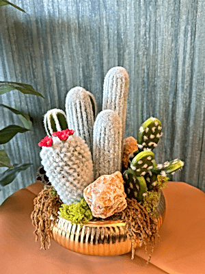  Gaziantep Çiçek Gönder - Ufo Gold Saksıda İthal Kaktüs Arajmanı