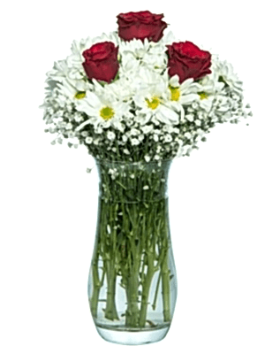 Gaziantep Çiçek Siparişi - Vazoda Gül Papatya 